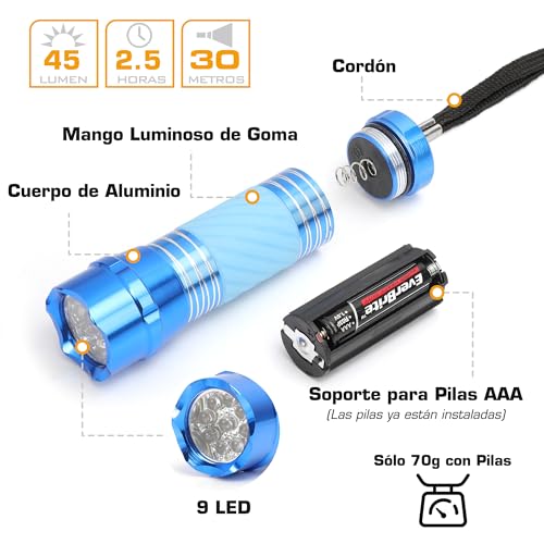 EverBrite 4 x Mini LED Flashlight with Bright Handle, Multi Colours, 12 x Batteries Included, Children's Flashlight in Yellow, Blue, Red, Green, Good Gift for Boys