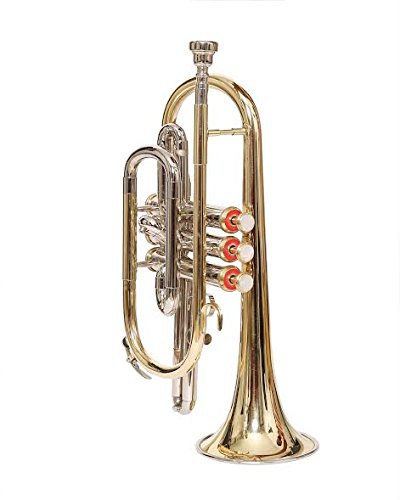 Nasir Ali Co-01, Cornet, Bb, Brass - Thumbnail 3