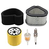 Butom 12 083 05-S 12 883 05-S1 M92359 Air Filter