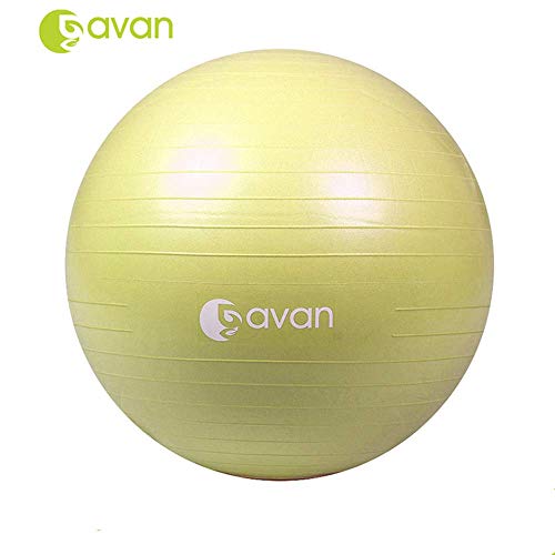 GAVAN 65cm Exercise Ball, for Fitness, Stability, Balance & Yoga - 2000LBS Anti Burst Professional Quality Design - Quick Pump Included, Blue