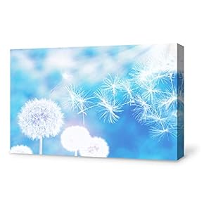 Canvas Wall Art for Living Room,Bedroom Home Artwork Paintings Dandelion Ready to Hang - 12x18 inches