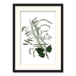 Black Paper Framed Canvas Wall Art for Living Room, Bedroom Simple Beautiful Leaves Canvas Prints for Home Decoration Ready to Hanging - 23x31 inches