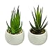 Houseables Artificial Succulent Plants, Fake Plant, 6 Pack, 4.25