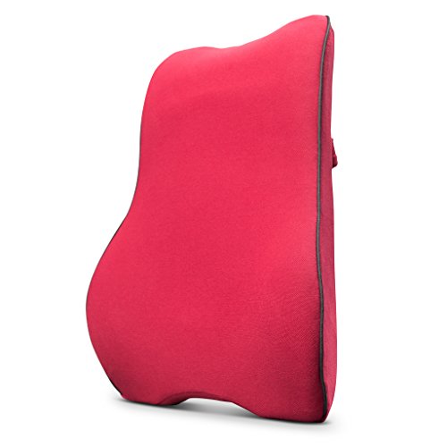 Glacial Back Support Cushion - Memory Foam Lumbar Pillow for Lower Back Pain Relief - Use on Any Chair in The Office, Home, Car - Ergonomic Design - Thumbnail 5