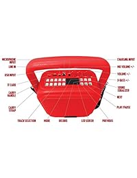 Sistema estéreo inalámbrico Mini Fisher, altavoz PA para karaoke, Bluetooth, subwoofer de 4.5 pulgadas, reproductor de radio FM, funciones de karaoke con entrada de micrófono, luces LCD, entrada auxiliar, diseño portátil