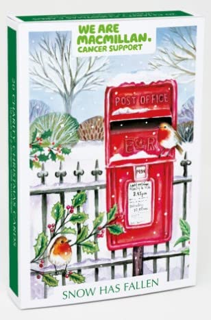 Museums & Galleries Pack of 10 Artistic Charity Christmas Cards - Lovely Illustration Of Winter Scenes - Snowy Village - 10 Card 2 Designs, 100 x 150 mm