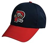 MiLB Minor League ADULT Portland SEA DOGS Hat Cap Adjustable Velcro TWILL 