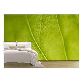 Beautiful Background of Green Plant Leaf - Removable Wall Mural | Self-Adhesive Large Wallpaper - 66x96 inches