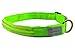 Pet Industries Metal Buckle LED Dog Collar, USB Rechargeable, Available in 7 Colors & 4 Sizes (Medium [15-21.5