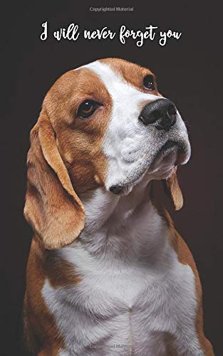 beagle website