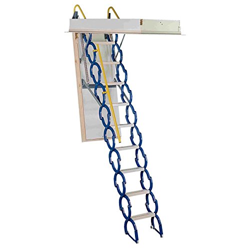 Rainbow M2554 25-1/2