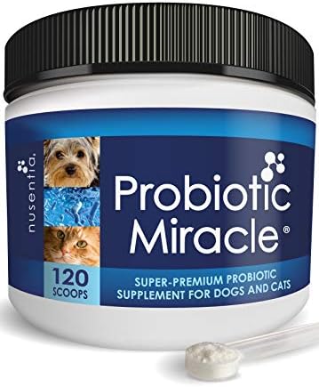 NUSENTIA Probiotics for Cats & Dogs - (120 Scoops) Probiotic Miracle - Advanced Formula to Stop Diarrhea, Loose Stool, and Yeast.