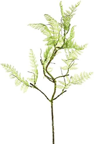 Select Artificial 4012809518 30" Green Moss Lace Fern Vine Stem
