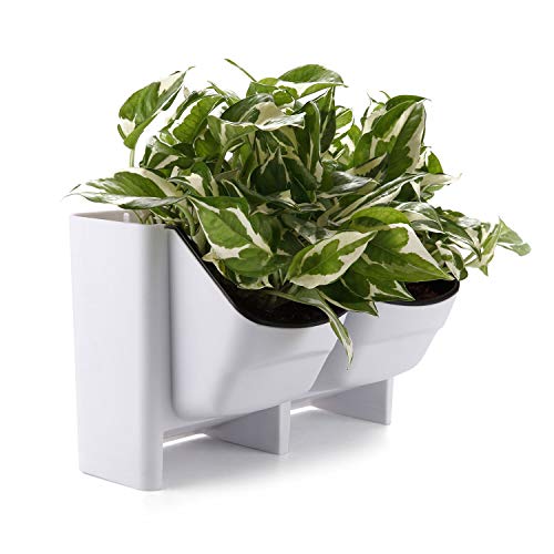 T4U Plastic Self Watering Vertical Living Wall Planter White, Stackble Wall Mounted for Indoor Outdoor Herb Vegetable Flower Plant