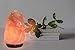 Spantik Heavy 9-13 lbs Himalayan Salt Lamp with Dimmer Switch Cord and wood base 10-11 Inch Height