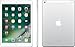 Apple 2017 iPad 9.7-inch, WiFi + Cellular, 32GB - Silver (Renewed)