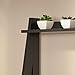 Bush Furniture Alamosa Ladder Bookshelf, Classic Black