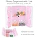 MYNER Magnetic Foldable Pill Box Case, 7 Compartments Portable Pill Organizer with 7 Lids for Storing 1-Week Dose Pill, Dustproof, Dampproof for Home and Travel (Pink)