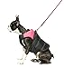 Gooby Padded Vest Dog Jacket - Pink, Medium - Warm Zip Up Vest Fleece Jacket with Dual D Ring Leash Water Resistant for Small to Medium Dogs