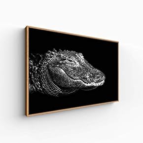 Canvas Wall Art for Living Room, Bedroom Animal Portrait Framed Canvas Prints for Home Decoration Ready to Hang - 16x24 inches