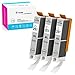 K-Ink Compatible Ink Cartridge Replacement for Canon CLI-251 CLI 251 XL Gray for PIXMA MG6320 IP8720 MG7520 MG7120 (3 Gray) primary