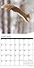Squirrels 2017 Wall Calendar