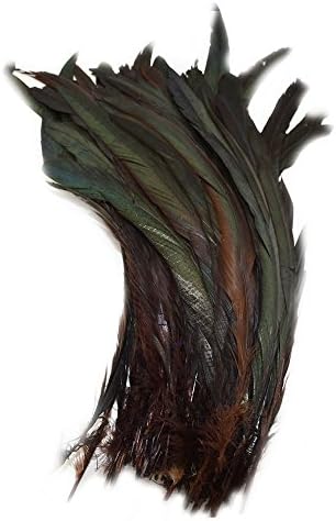 Everyshine 240 Pcs Dyed Nature Rooster Coque Tails Feather 10-12 inches (Brown)
