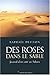 Des roses dans le sable : Journal d'un curé au Sahara by