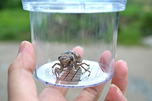 AlleTechPlus Critter Cage Magnifying Bug Reviewer Kid's Toy, Nature Exploration Toys Insect Magnifier Backyard Explorer (12 packs) - Thumbnail 5