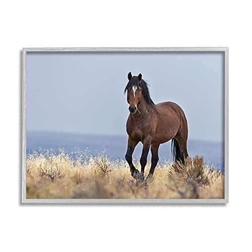 Stupell Industries Equestrian Horse in Wild Countryside Soft Blue Sky