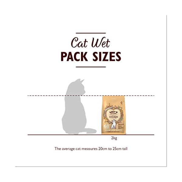 Lilys-Kitchen-Chicken-Casserole-Complete-Adult-Dry-Cat-Food-2-kg Lily's Kitchen Chicken Casserole Complete Adult Dry Cat Food (2 kg) (Packaging may vary)