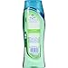 Dial Body Wash, Mountain Fresh, 16 Fl Oz (Pack of 6)