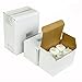 Instapark 24 LED Faux Flameless Flickering Tea Light Candles, 2-Dozen per Pack Pet-safe and Child-safe Wind-proof Indoor & Outdoor (2-dozen Bonus Replacement Batteries Included)