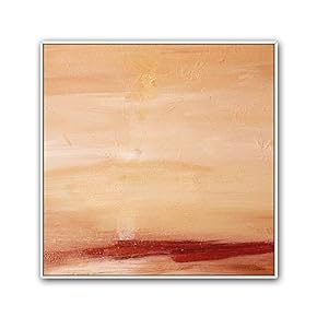 Framed Canvas Wall Art Abatract Color Canvas Prints Home Artwork Decoration for Living Room,Bedroom - 16x16 inches