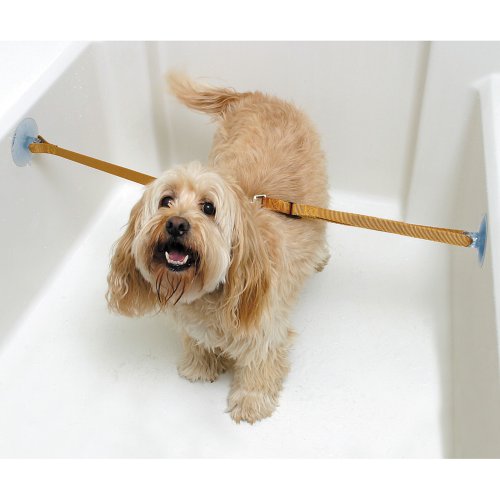 Rinse Ace Pet Bathing Tether Straps, 2 Pack