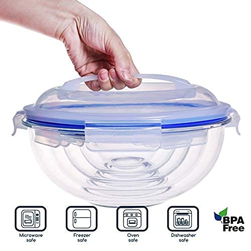 HT Burg 10Piece Nesting Glass Mixing/Storage Bowls with Leak proof airtight Snap locking lids