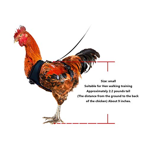 CXWAWSZ Hühnerleiter Schaukel Huhn Geschirr Henne Größe Hühnerstall Schaukel Leiter Cchicken Geschirr und Leine Huhn… – Bild 7