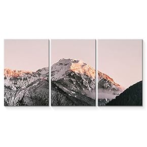 signwin 3 Piece Canvas Wall Art Beautiful Landscape...