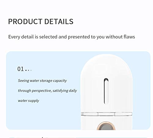 Axchongery Mini Portable Nano Steaming Facial Humidifier, Handy Spray Moisturizer Beauty Instrument, Small Portable Mist Sprayer for Face Moisturizing and Hydrating, No Noise, Travel (A)
