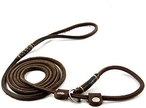 Jpettie New Genuine Real Leather Adjustable Leather Leash, Slip Lead, Pet Collar ,Training Walking, Solid Hardware, For Teddy,Kitty, Cats, Small Puppy Dogs, Breeds.5ft Long By 3/5 Inch Wide