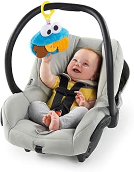 cookie monster teether