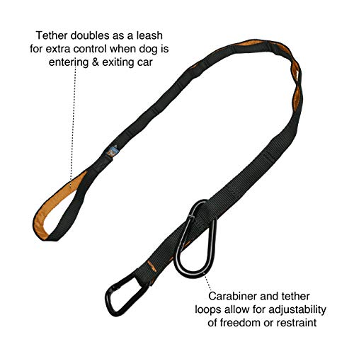 Kurgo Ridgeline Camping Dog Tie Out Zipline at Penelope Cook blog