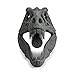 Funwares Wash n' Roar T-Rex Shower Head, Gray - Shower Nozzle Shaped like a Tyrannosaurus Rex Skull