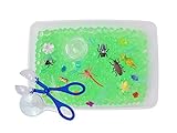 Creepy Crawler Bugs Discovery Box and Sensory Bin for Kids and Preschoolers - Revelae Kids