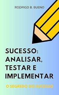 Livro Sucesso: Analisar, Testar e Implementar: Empreendedor digital com sucesso