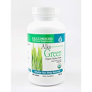 Alka-Green Tablets (2 Pack) Organic Barley Grass & Naturally Chelated Colloidal Minerals & Enzymes for Improved Digestion, Energy & Mood | Morter HealthSystem B.E.S.T. Process Alkaline