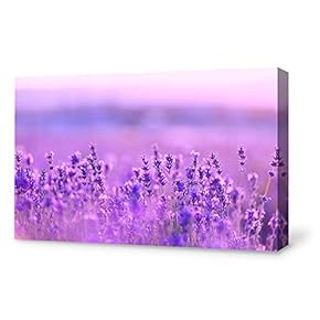 Canvas Wall Art for Living Room,Bedroom Home Artwork Paintings Romantic Lavender Ready to Hang - 12x18 inches