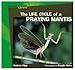 The Life Cycle of a Praying Mantis (Life Cycles Library)