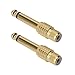 Tisino RCA to 1/4 Adapter, Pure Copper RCA to Quarter Inch Adapter Male 6.35mm TS Jack Plug to RCA Audio Connector Gold Plated - 2 Pack