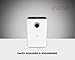 BONECO W200 Large Room 2 In 1 Whisper Quiet Humidifier Air Washer with Automatic Shut Off and Fragrance Essential Oil Container, White